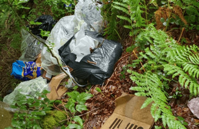 Waste tipped at Savernake Forest