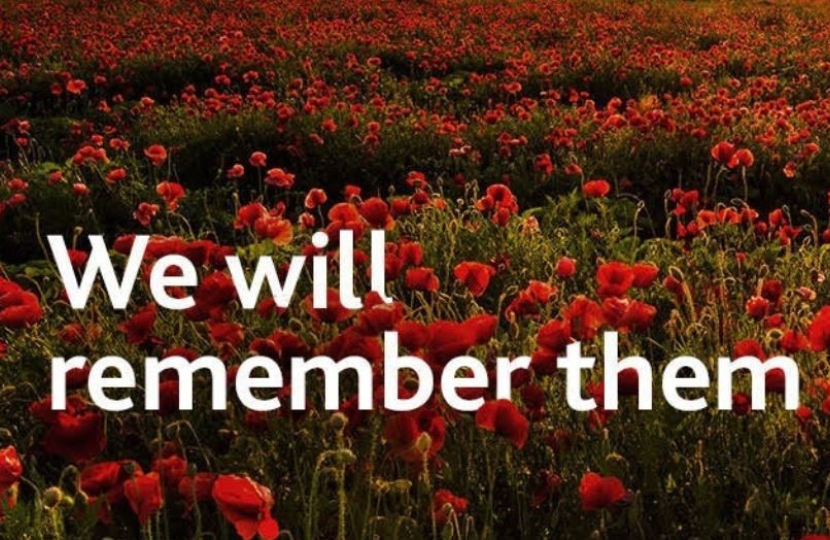 We will remember them infographic