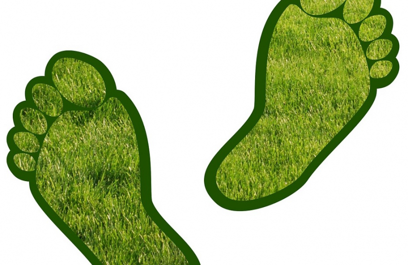 Carbon footprint icon - grass feet