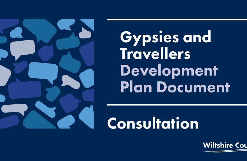 Gypsy Consultation Infographic