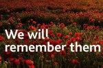 We will remember them infographic