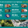 Wiltshire Council Highways Investment 2024 infographic