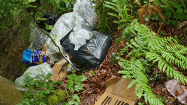 Waste tipped at Savernake Forest