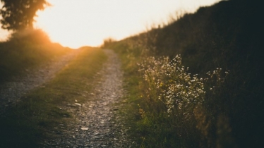 Countryside footpath