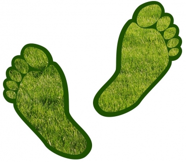 Carbon Footprint