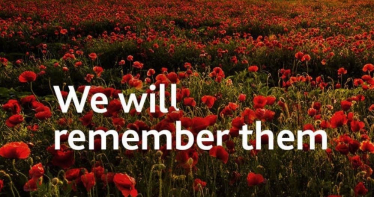 Remembrance Day graphic