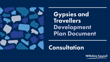 Gypsy Consultation Infographic